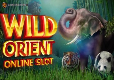 Wild Orient