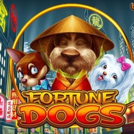 Fortune Dogs
