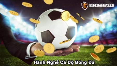 Nghề cá độ bóng đá cần những gì để thành công nhanh chóng