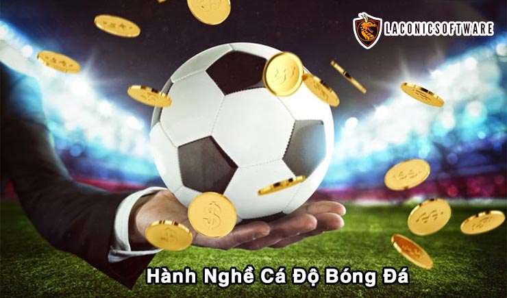 Nghề cá độ bóng đá cần những gì để thành công nhanh chóng