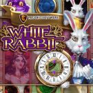 White Rabbit Slot