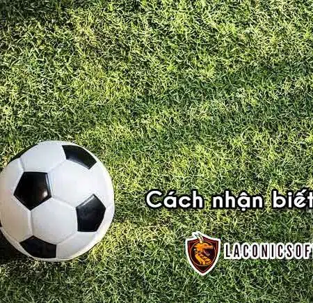 [Bật mí] Cách nhận biết kèo ảo không phải ai cũng nắm rõ