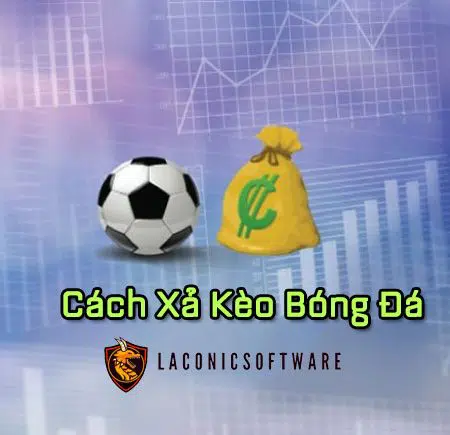 Cách xả kèo bóng đá: Tranh luận biện pháp xả kèo giúp thoát lỗ
