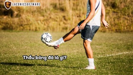 Thầu bóng đá là gì? Tìm hiểu cách làm thầu bóng đá dễ dàng