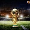 World Cup là gì? Điều thú vị về World Cup 2022 ít người để tâm