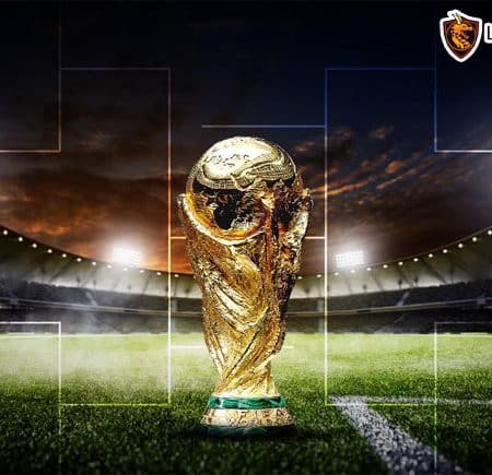 World Cup là gì? Điều thú vị về World Cup 2022 ít người để tâm