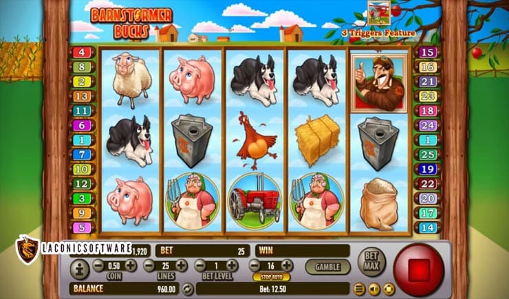 Cách chơi Barnstormer Bucks Slot