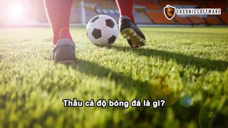 Thầu cá độ bóng đá là gì? Những mẹo hay để có lời từ việc này