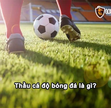 Thầu cá độ bóng đá là gì? Những mẹo hay để có lời từ việc này